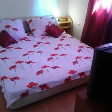 Apartment Dejan With Pools *